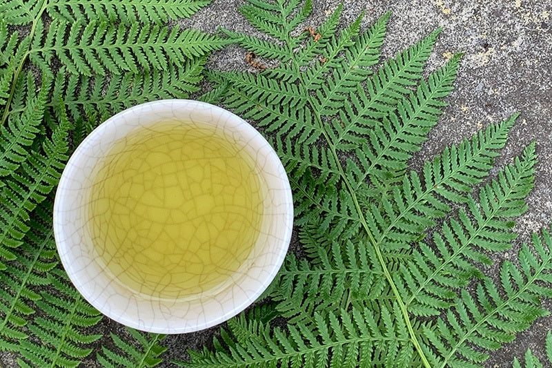 MAIKI: TEA TASTING BY ALEX AHEARN