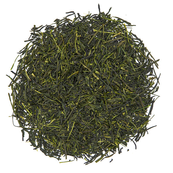 Sencha