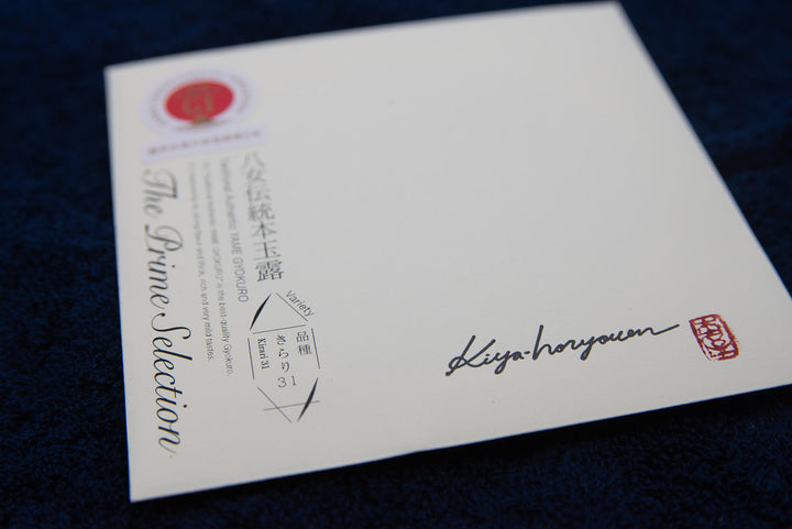 Kirari 31 Gyokuro