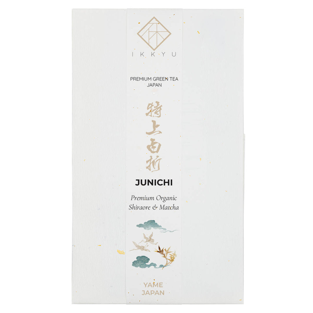 JUNICHI