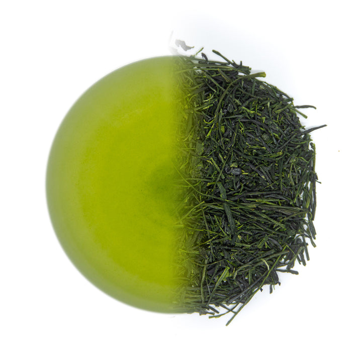 Competition Sencha Box