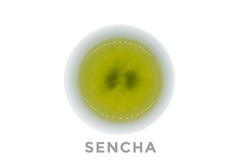 Top view of a small white porcelain cup filled with brewed premium Japanese sencha green tea. The word SENCHA is written under the cup.