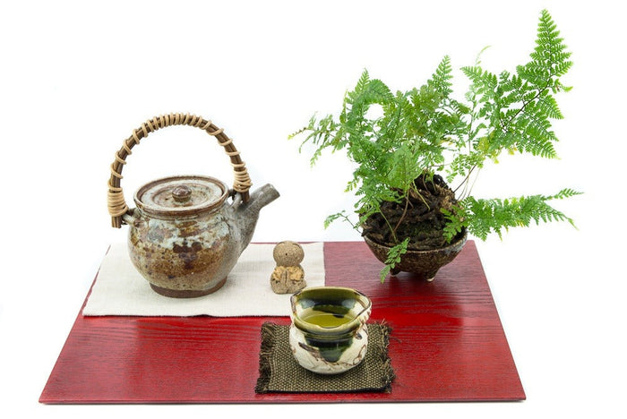 Sencha Steaming Styles Explained: Which One Matches Your Taste?