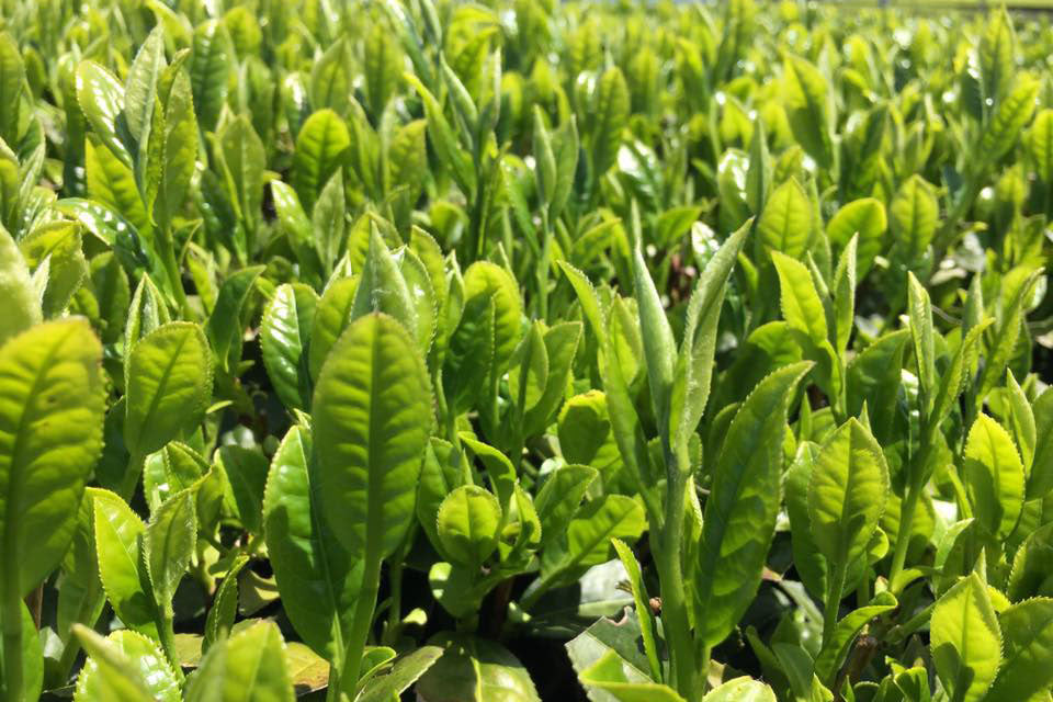 HAPPY INTERNATIONAL WOMEN'S DAY!