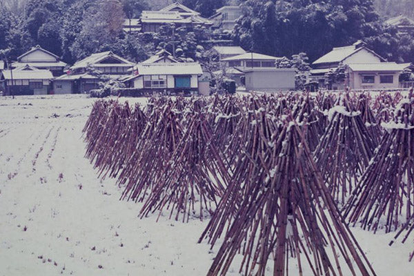 ikkyu-tea-kubo-san-bamboo_snow.jpg