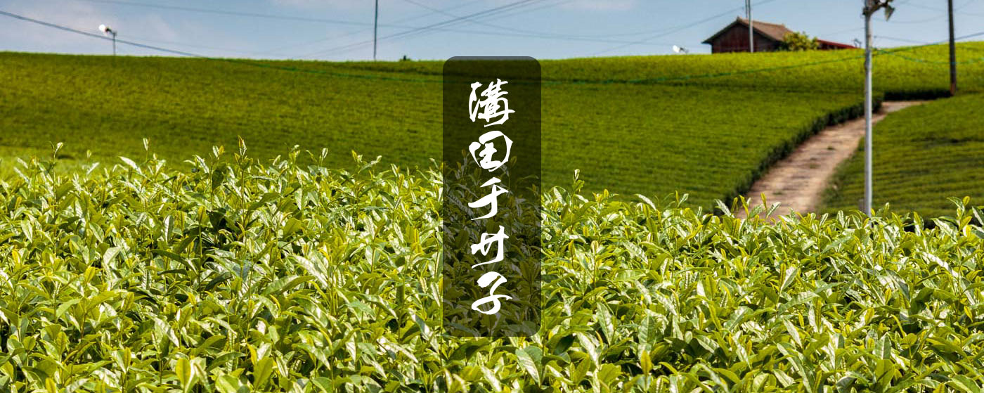 MIZOTA CHISAKO – Ikkyu Tea