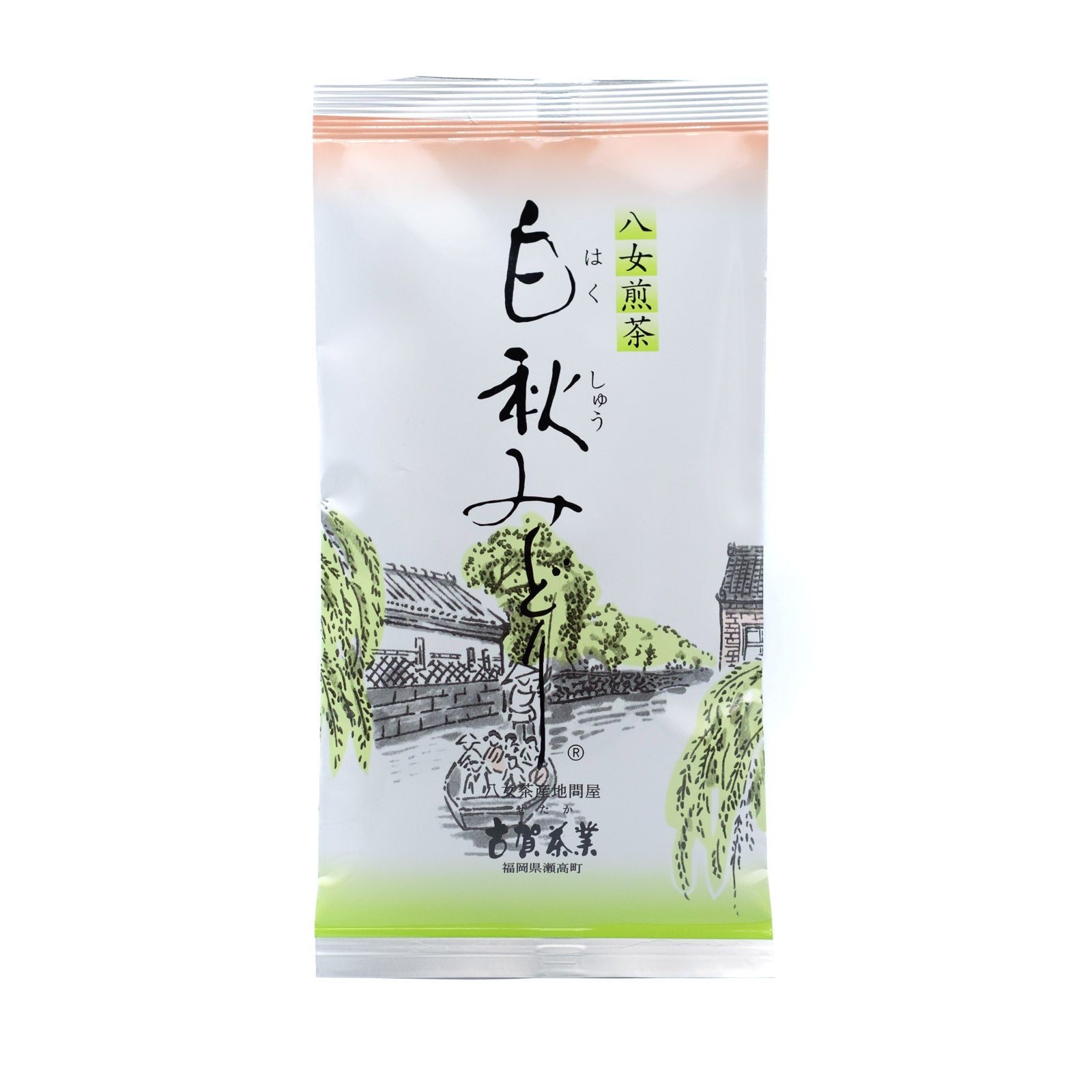 Shincha 2026