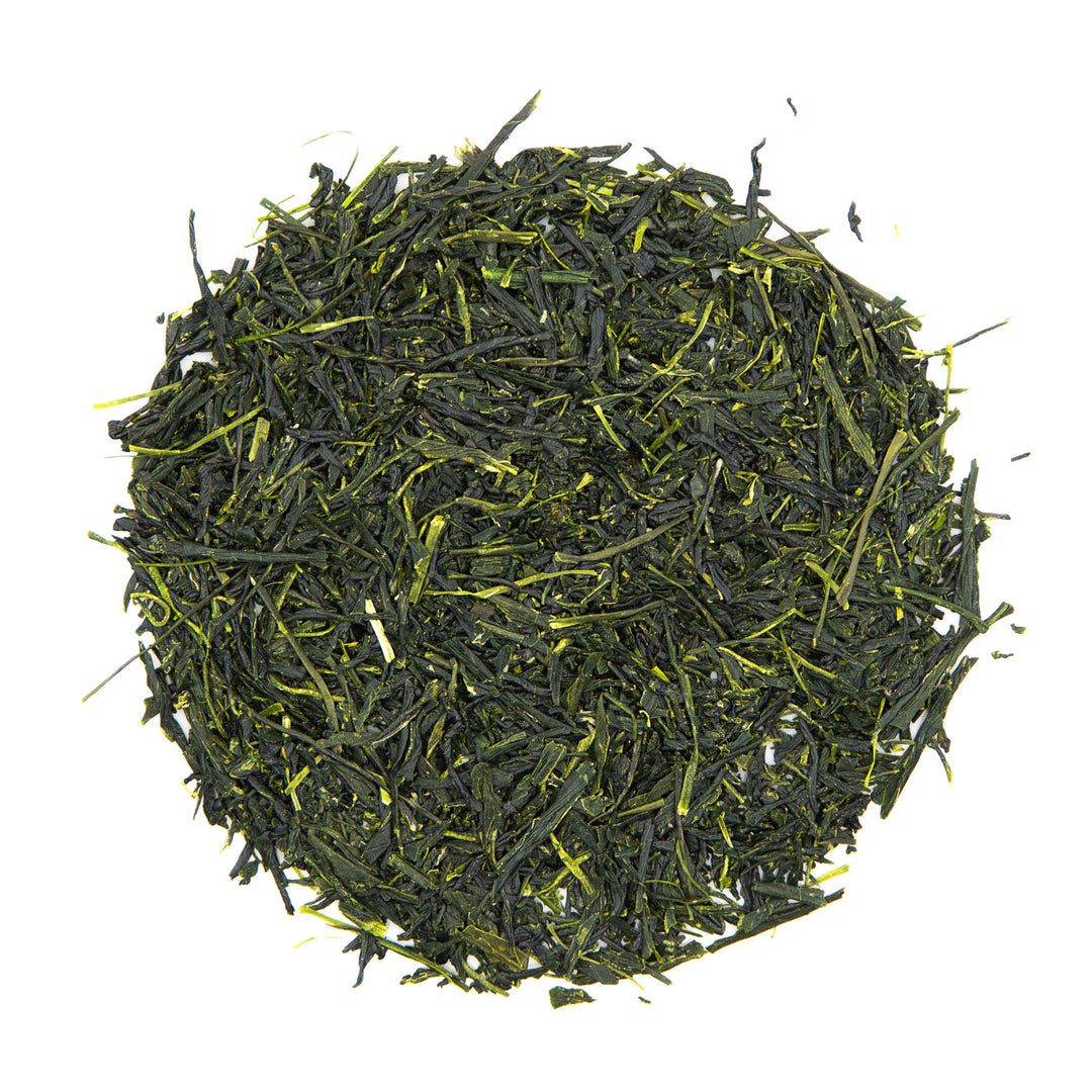 MIDORI