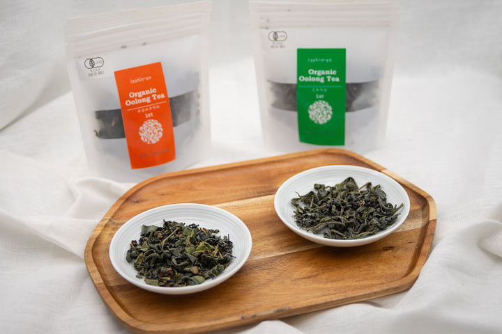 ORGANIC OOLONG DUO