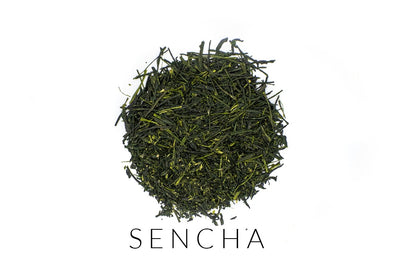 Needle-shaped and deep emerald premium sencha green tea leaves from Yame, Japan, in a circle shape. Under the leaves, the word SENCHA is written.