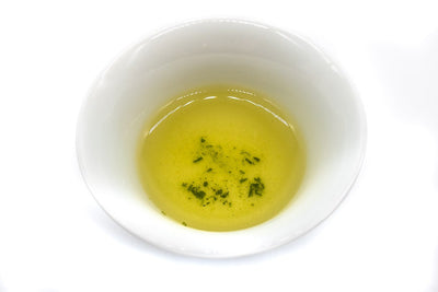 Top view of a small white porcelain cup against a white background filled with golden-green brewed dento hon gyokuro green tea from Yame.