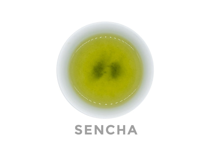 Top view of a small white porcelain cup filled with brewed premium Japanese sencha green tea. The word SENCHA is written under the cup.