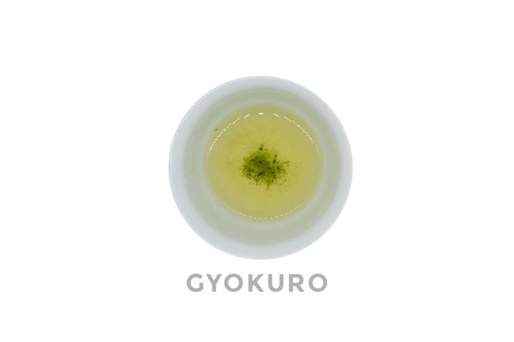 Vue de dessus d'une petite tasse en porcelaine blanche remplie de thé vert dento hon gyokuro infusé à l'or pâle. Le mot GYOKURO est écrit sous la tasse.