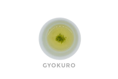 Top view of a small white porcelain cup filled with pale-gold brewed dento hon gyokuro green tea. The word GYOKURO is written under the cup.
