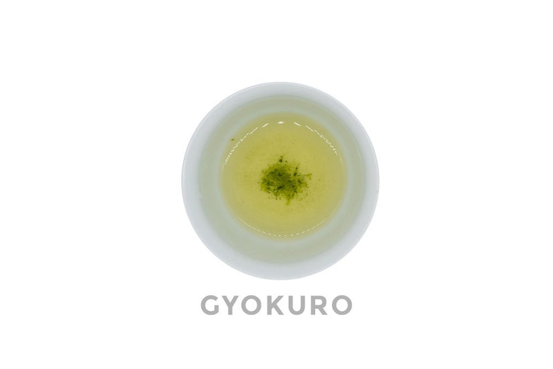 Top view of a small white porcelain cup filled with pale-gold brewed dento hon gyokuro green tea. The word GYOKURO is written under the cup.